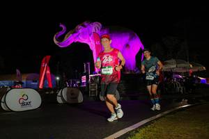 BIB: 
                            <button type="button" onclick="openModal(26543943)" class="btn btn-primary btn-sm float-right btn-popup" data-toggle="modal" data-target=".modal-high-quality">
                        <i class="fas fa-shopping-cart"></i> Add to Cart
                    </button>
                                            <button type="button" onclick="isThisMe(26543943, true)" class="btn btn-success btn-sm float-right btn-popup btn-isme hidden" data-toggle="tooltip" data-placement="bottom" title="นี่คือรูปของคุณใช่ไหม คลิกที่นี่เพื่อเอาเข้าอัลบั้ม">
                        <i class="fas fa-plus"></i> Add to album
                    </button>
                    <button type="button" onclick="isThisMe(26543943, false)" class="btn btn-warning btn-sm float-right btn-popup btn-isnotme hidden">
                        <i class="fas fa-ban"></i> Remove from album
                    </button>